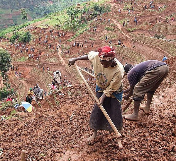 Soil-Erosion-Project-Rwanda-5895b7655f9b5874eee2243c