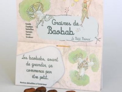 actu2010_baobab