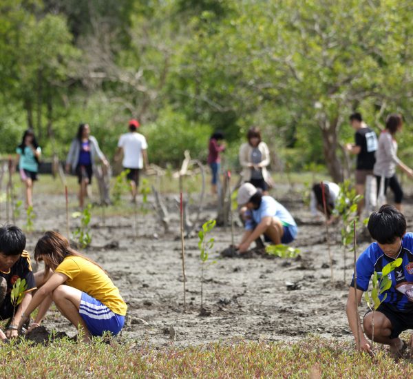 D48MP7 Young Thai people in mission for planting new trees for mangrove reforestation in Satun, South Thailand