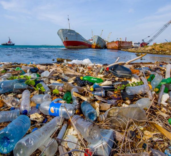 plastic-pollution-coastal-shutterstock